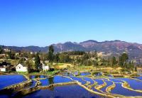 The Blue Rice Terraces in Laohuzui