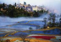 Tiger Mouth Rice Terraces in the Mist