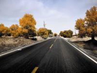 Tarim Desert Highway 