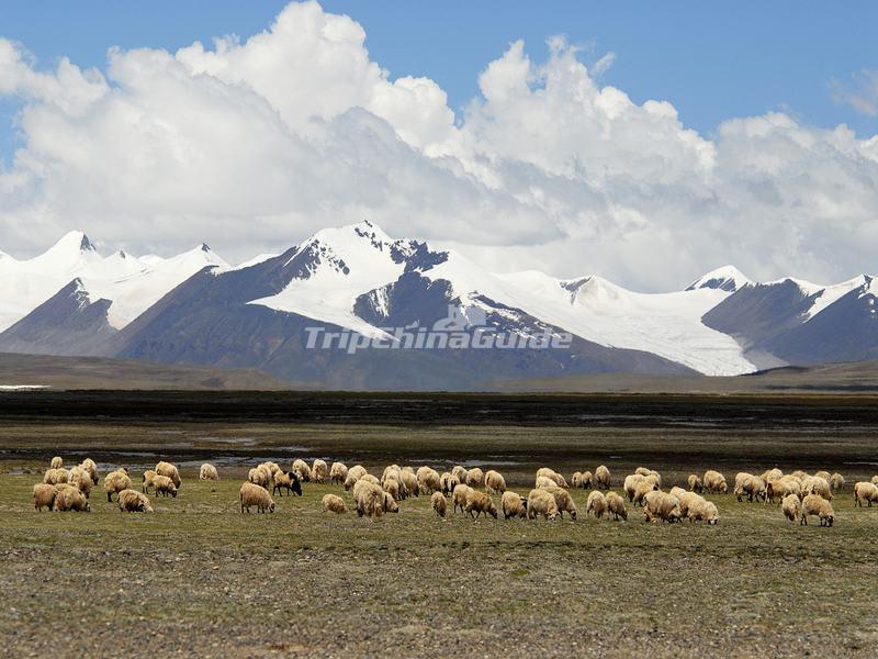 Xinjiang Tibet Highway Scenery