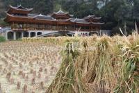 Upper Langde Miao Village Bridge and Farmland Guizhou