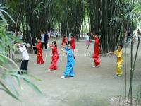 The Local Children Are Practicing Kung Fu in Wangjianglou Park