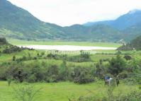 Wen Lake Scenery Lijiang 