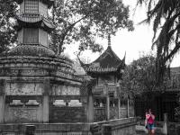 Chengdu Wenshu Yuan Monastery 