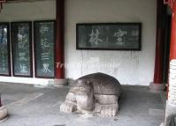 Wenshu Temple Turtle Sculpture Chengdu