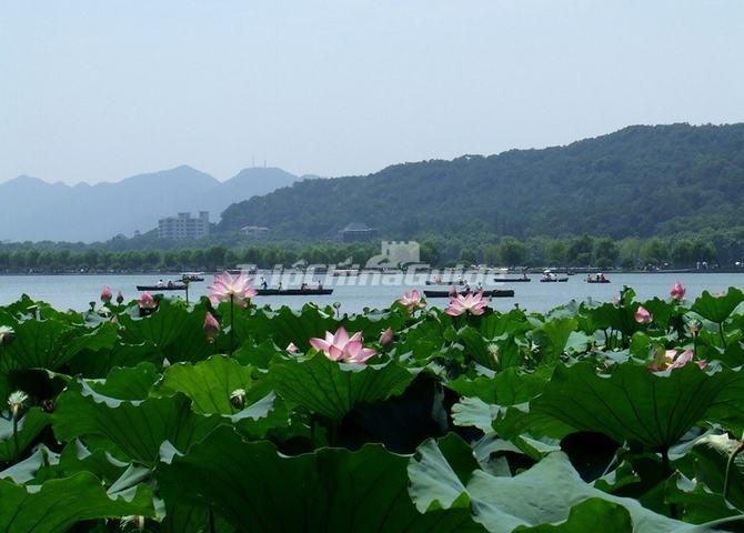 West Lake in Summer