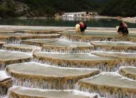 Animals in White Water River Lijiang 