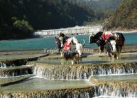 Yunnan White Water River 