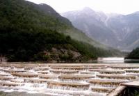 White Water Terraces Shangri-La China 