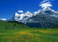 Wolong Nature Reserve in Sichuan 