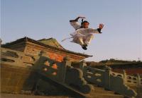 Taoist Priest at Mt. Wudang 