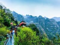 Wudang Mountains