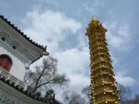 A Beautiful Buddhist Pagoda in a Temple of Mount Wutai