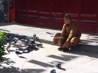 A Monk in A Temple of Wutain Mountain