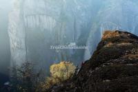 Wuyi Mountains in Mist