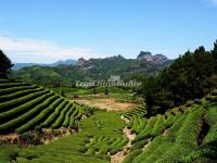 Wuyi Mountains