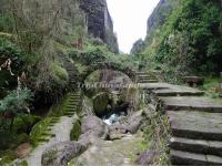 Wuyi Mountains