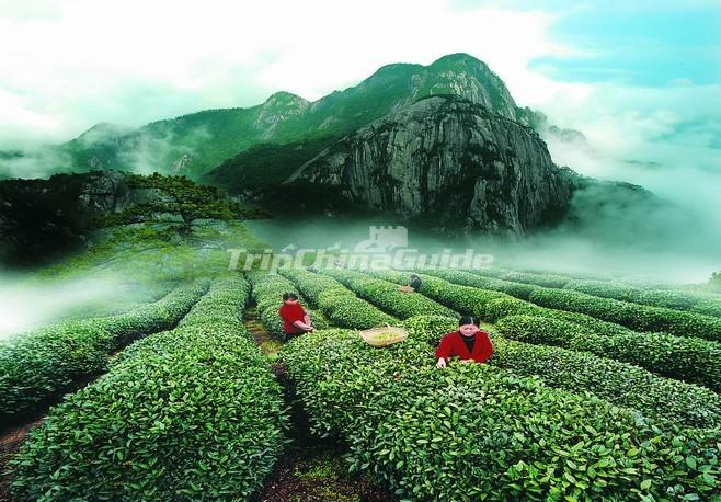 Mount Wuyi Fujian China