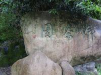 The Imperial Tea Garden in Wuyi Mountains