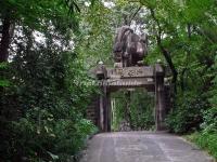 The Entrance of the Imperial Tea Garden in Mount Wuyi 