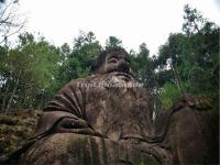 Wuyi Mountains