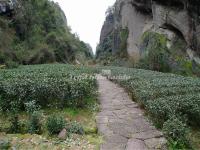 Wuyi Mountains