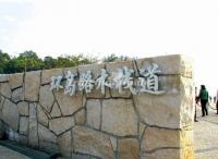 Wooden Trestle at Xiamen Island Ring Road