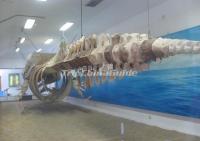 Xiamen Underwater World China 