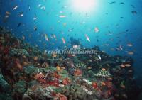 Underwater World Fujian 