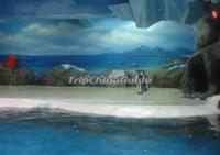 Underwater World at Xiamen 
