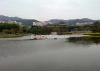 Xiamen University Furong Lake 