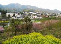 Beautiful Xidi Village Huangshan 