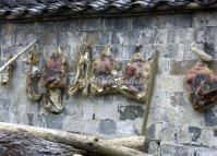 Cured Meat on the Wall at Xidi Village