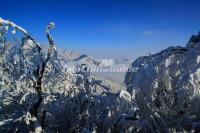 Xiling Snow Mountain