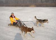 Dog Sledding in Xiling Snow Mountain
