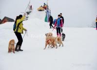 Chengdu Xiling Snow Mountain