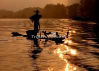 Li River Fishing Birds