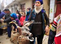 The Poultry Market in Xinjie Town