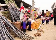 The Sugar Cane Stall