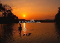 Night Fishing with Cormorants in Yangshuo