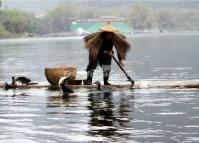 Yangshuo Cormorants Catching Fish