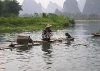 Cormorant Fishing in Yangshuo Li River