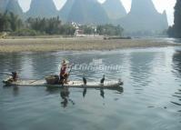 Cormorant Fishing China  