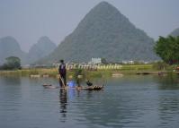 Cormorant Fishing on the Li River 