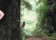 Yangshuo Rock Climbing