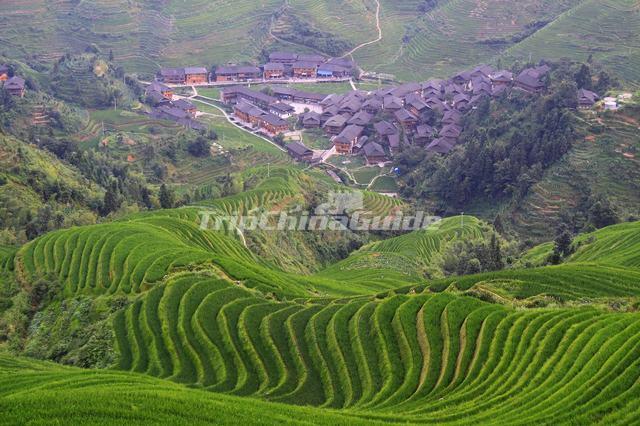 Yao Village