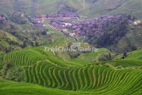 Longsheng Yao Village