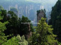 Zhangjiajie Huangshi Stockade 