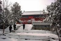 Yongquan Temple Winter Scenery Fujian