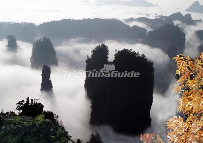 Yuanjiajie Scenic Area, Zhangjiajie, China